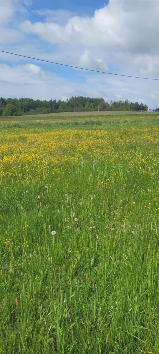 plot for sale, 1,349 m², Tojice, Plzeňský Region plot for sale, 1,349 m², Tojice, Plzeňský Region