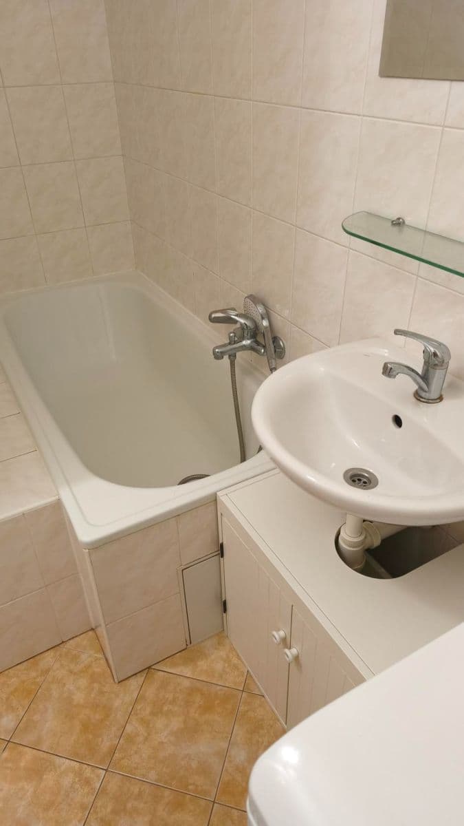 1 bedroom with open-plan kitchen flat to rent, 40 m², Čestmírova, Prague, Prague 1 bedroom with open-plan kitchen flat to rent, 40 m², Čestmírova, Prague, Prague