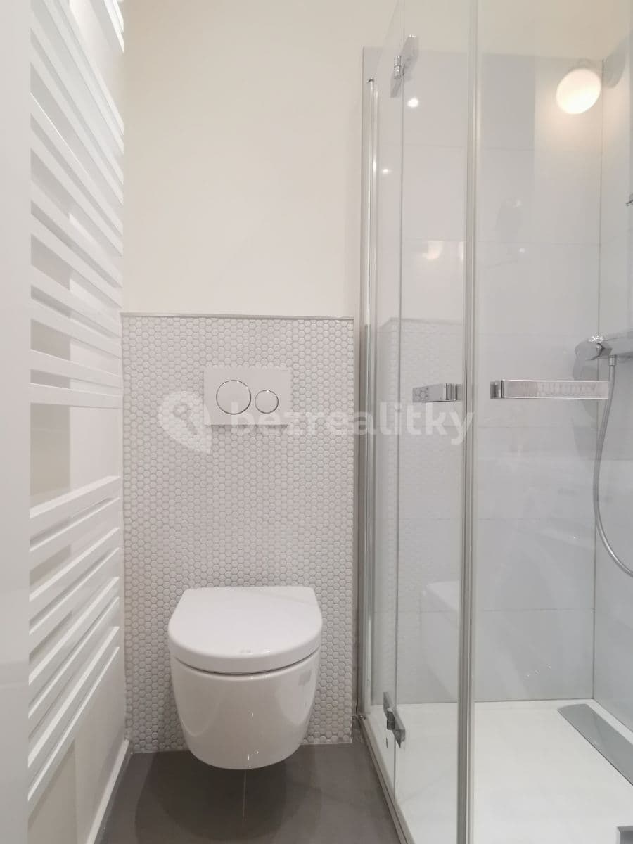1 bedroom with open-plan kitchen flat to rent, 40 m², Mařákova, Prague, Prague 1 bedroom with open-plan kitchen flat to rent, 40 m², Mařákova, Prague, Prague