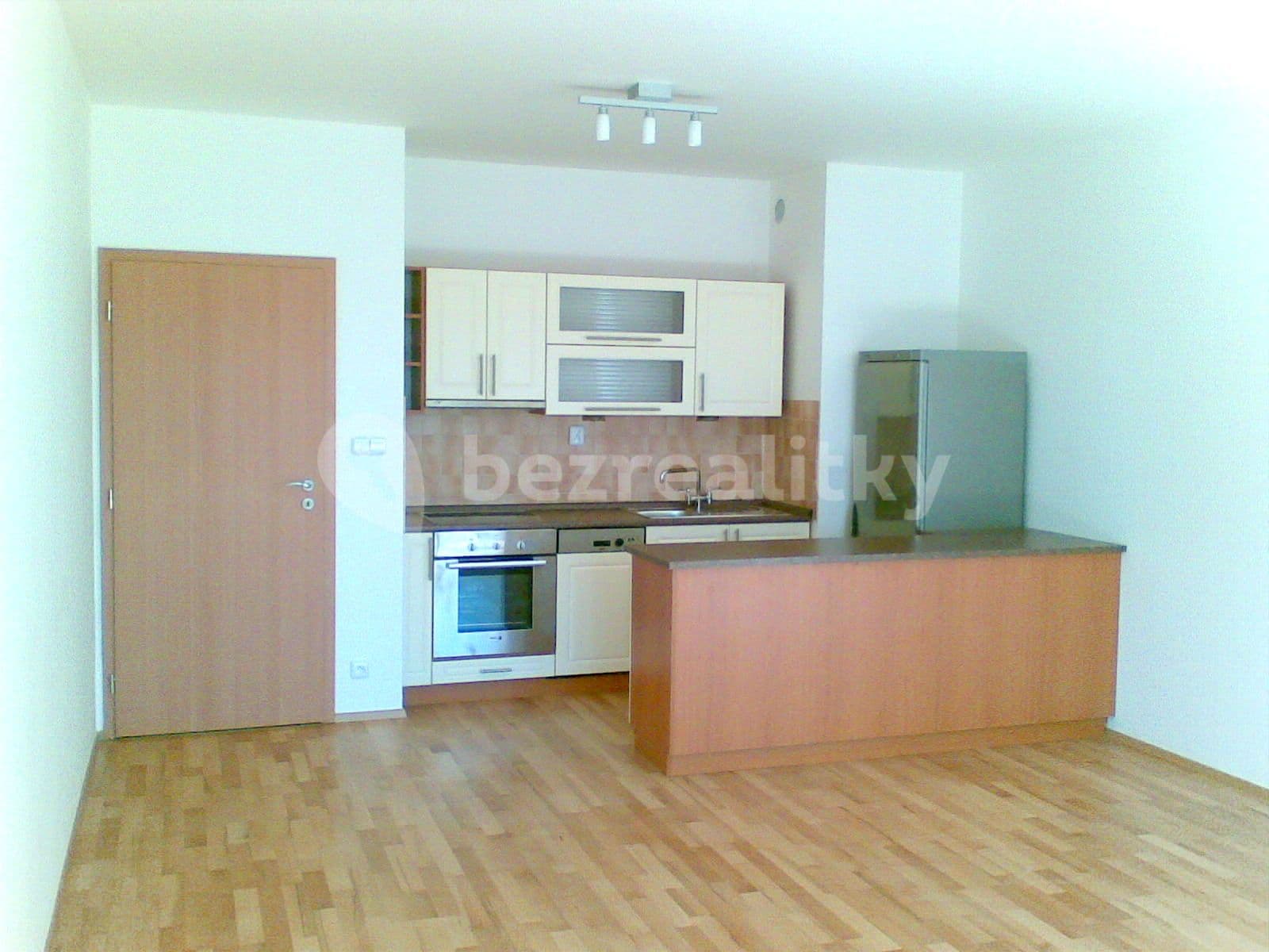 1 bedroom with open-plan kitchen flat to rent, 55 m², Na Císařce, Prague, Prague 1 bedroom with open-plan kitchen flat to rent, 55 m², Na Císařce, Prague, Prague