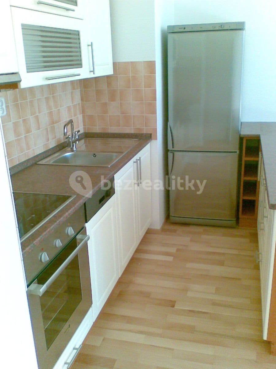 1 bedroom with open-plan kitchen flat to rent, 55 m², Na Císařce, Prague, Prague 1 bedroom with open-plan kitchen flat to rent, 55 m², Na Císařce, Prague, Prague