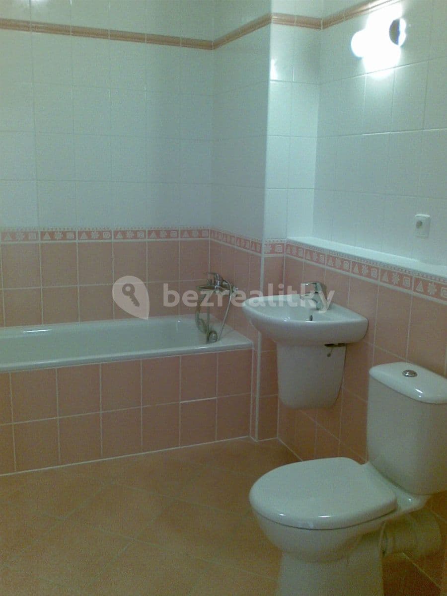 1 bedroom with open-plan kitchen flat to rent, 55 m², Na Císařce, Prague, Prague 1 bedroom with open-plan kitchen flat to rent, 55 m², Na Císařce, Prague, Prague