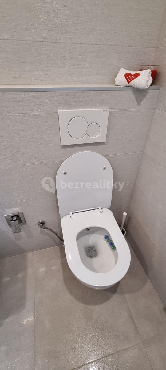 2 bedroom with open-plan kitchen flat to rent, 67 m², Mydlářka, Prague, Prague 2 bedroom with open-plan kitchen flat to rent, 67 m², Mydlářka, Prague, Prague