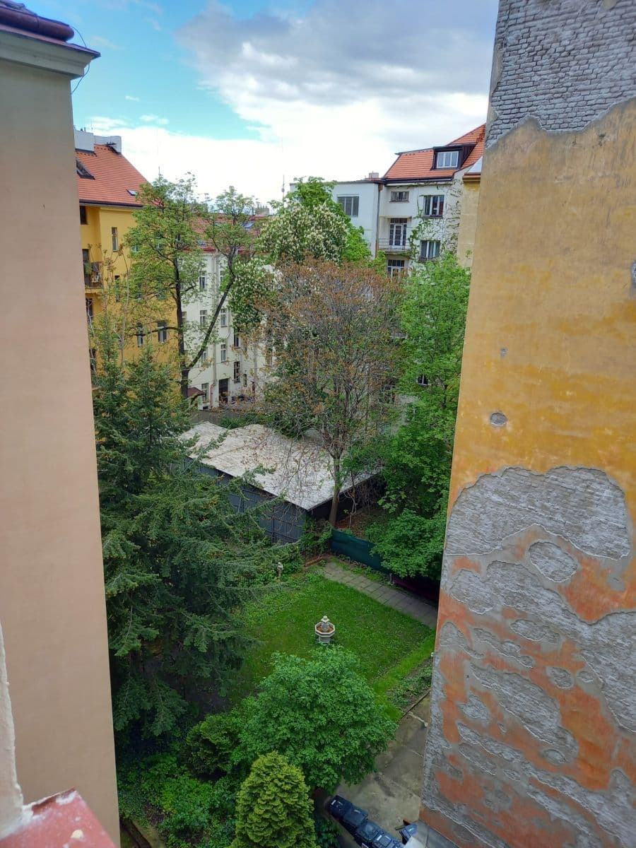 Studio flat to rent, 31 m², Tyršova, Prague, Prague Studio flat to rent, 31 m², Tyršova, Prague, Prague