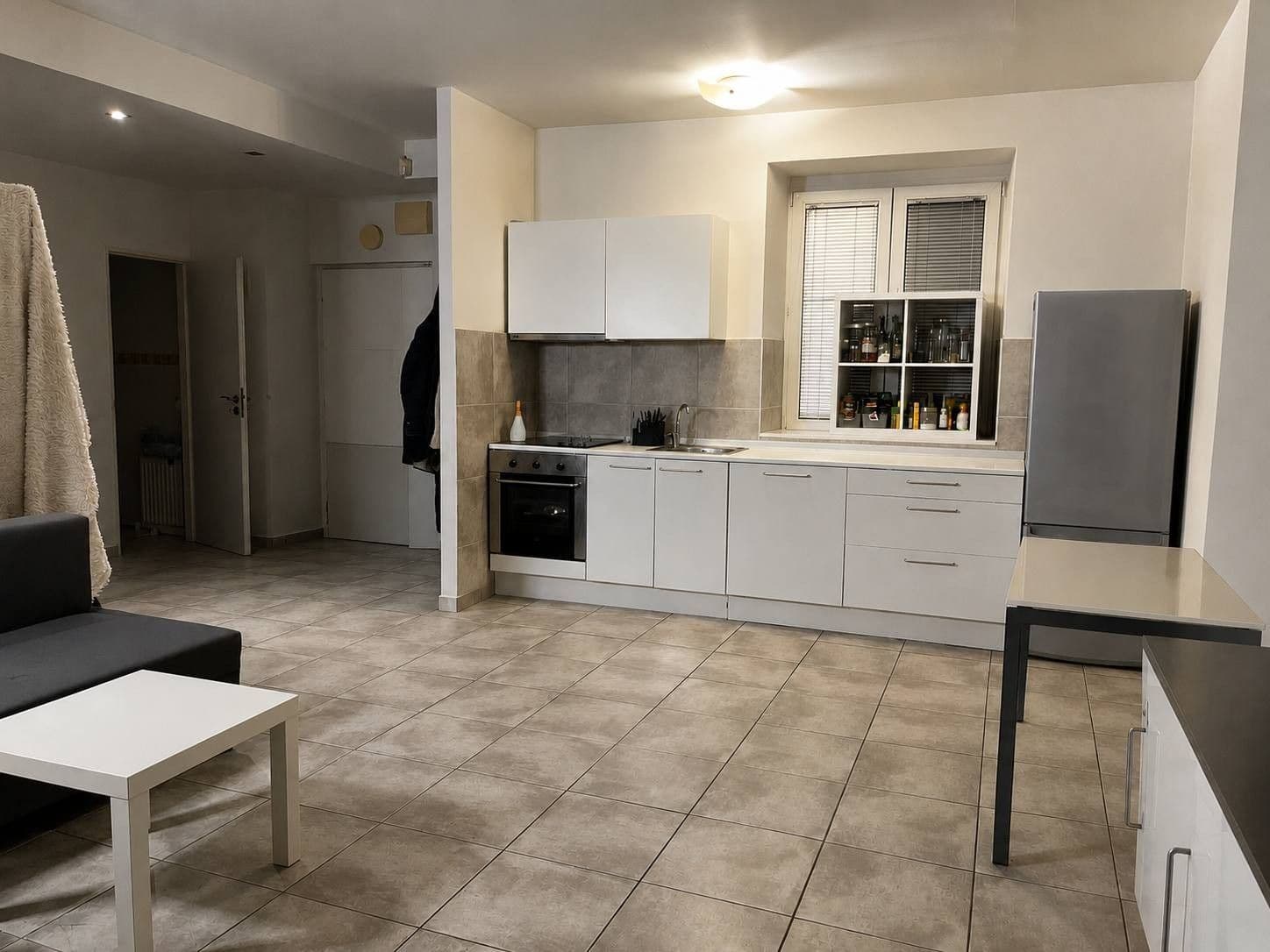 1 bedroom with open-plan kitchen flat to rent, 59 m², Pekařská, Brno, Jihomoravský Region 1 bedroom with open-plan kitchen flat to rent, 59 m², Pekařská, Brno, Jihomoravský Region
