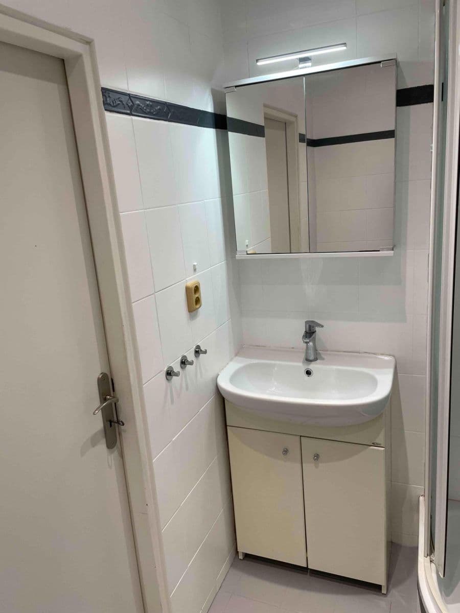 1 bedroom with open-plan kitchen flat to rent, 44 m², Hábova, Prague, Prague 1 bedroom with open-plan kitchen flat to rent, 44 m², Hábova, Prague, Prague