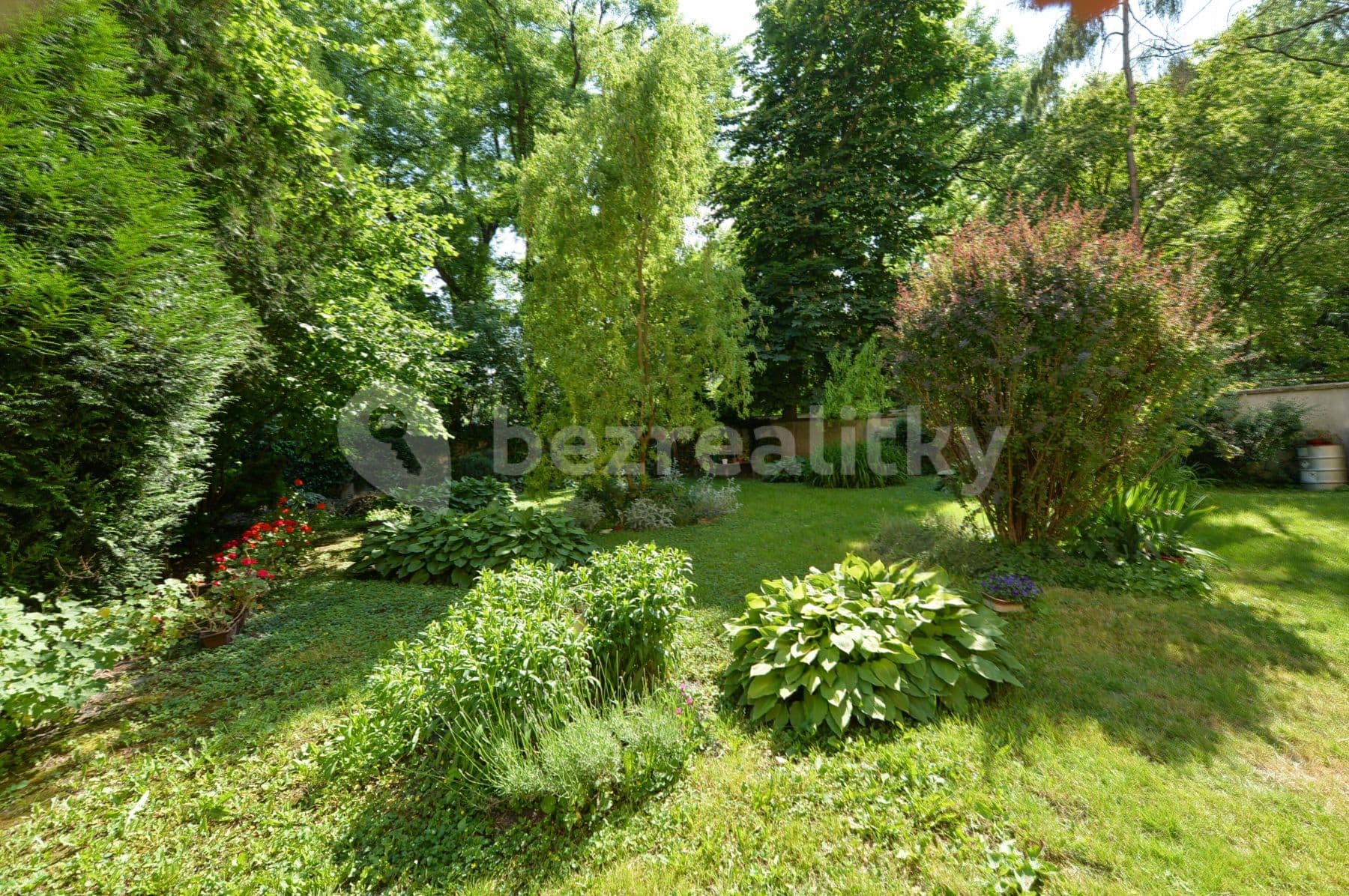 1 bedroom with open-plan kitchen flat to rent, 53 m², Kubelíkova, Prague, Prague 1 bedroom with open-plan kitchen flat to rent, 53 m², Kubelíkova, Prague, Prague