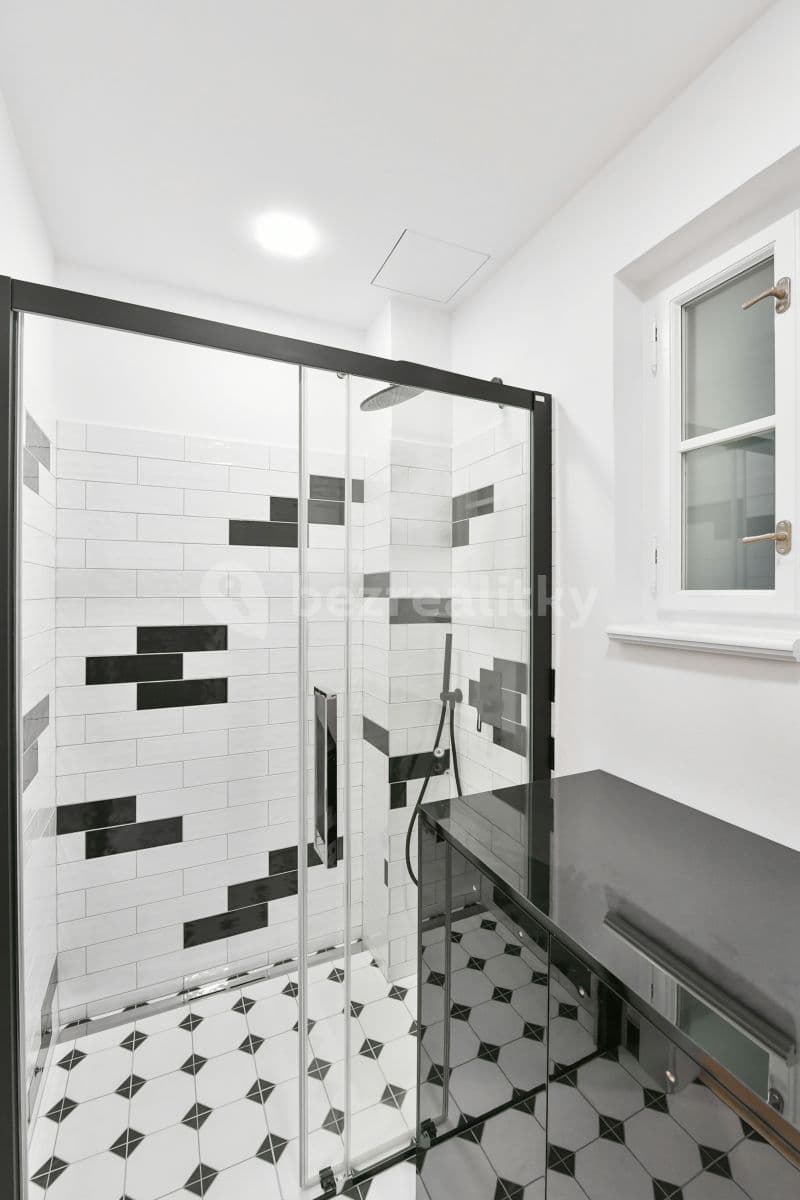 1 bedroom with open-plan kitchen flat to rent, 53 m², Kubelíkova, Prague, Prague 1 bedroom with open-plan kitchen flat to rent, 53 m², Kubelíkova, Prague, Prague