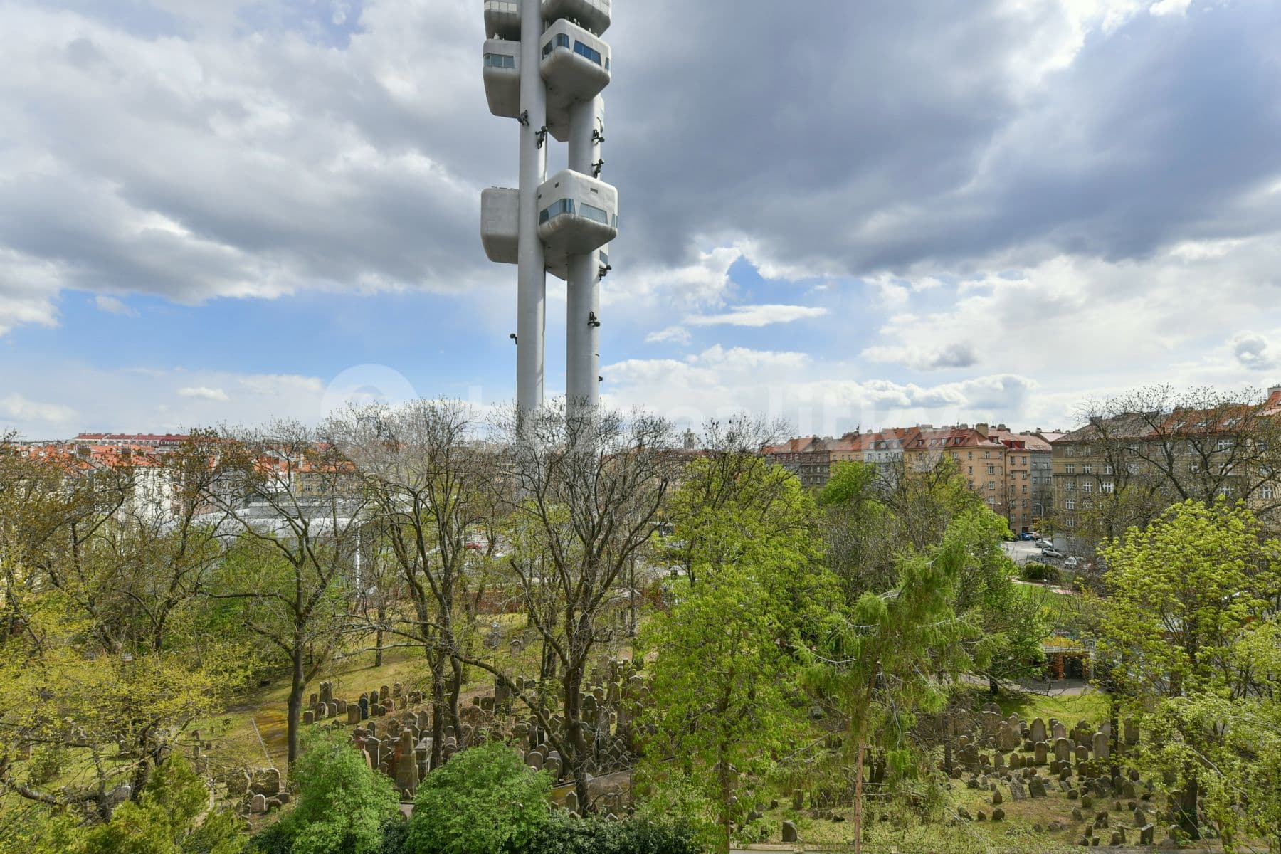 1 bedroom with open-plan kitchen flat to rent, 53 m², Kubelíkova, Prague, Prague 1 bedroom with open-plan kitchen flat to rent, 53 m², Kubelíkova, Prague, Prague