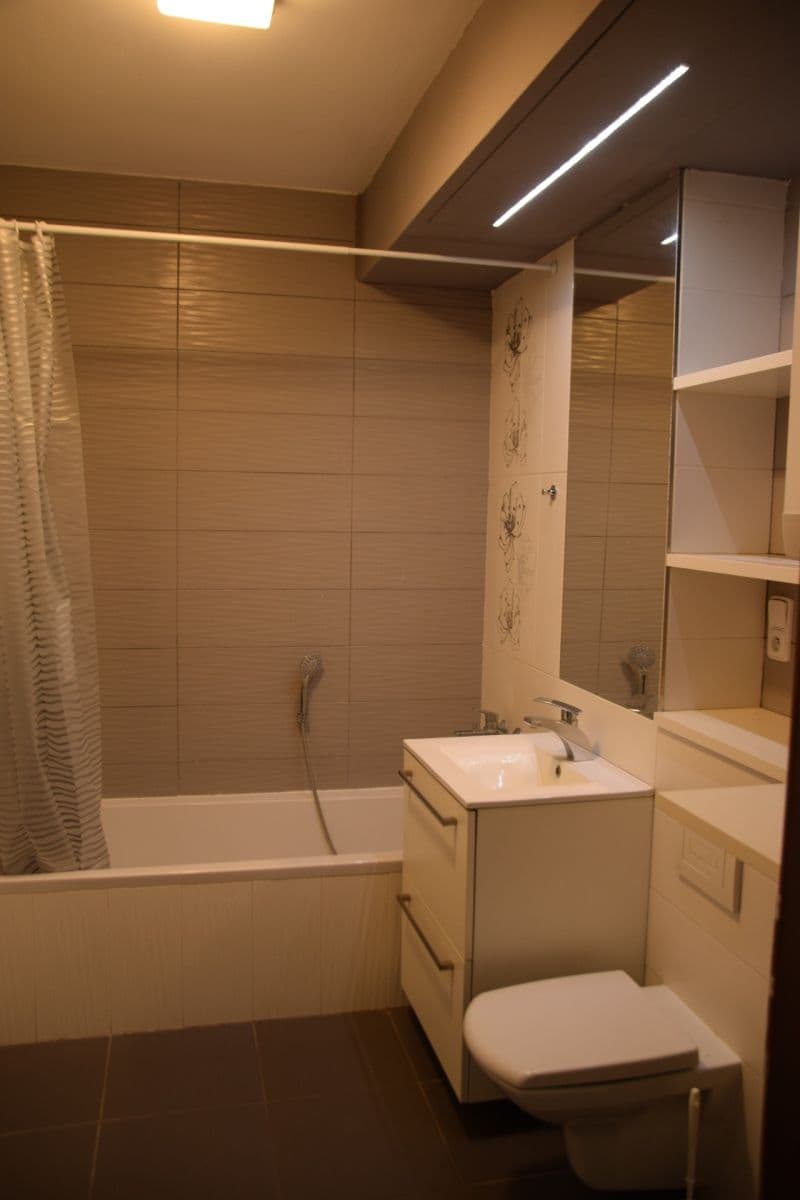 1 bedroom with open-plan kitchen flat to rent, 63 m², Cacovická, Brno, Jihomoravský Region 1 bedroom with open-plan kitchen flat to rent, 63 m², Cacovická, Brno, Jihomoravský Region