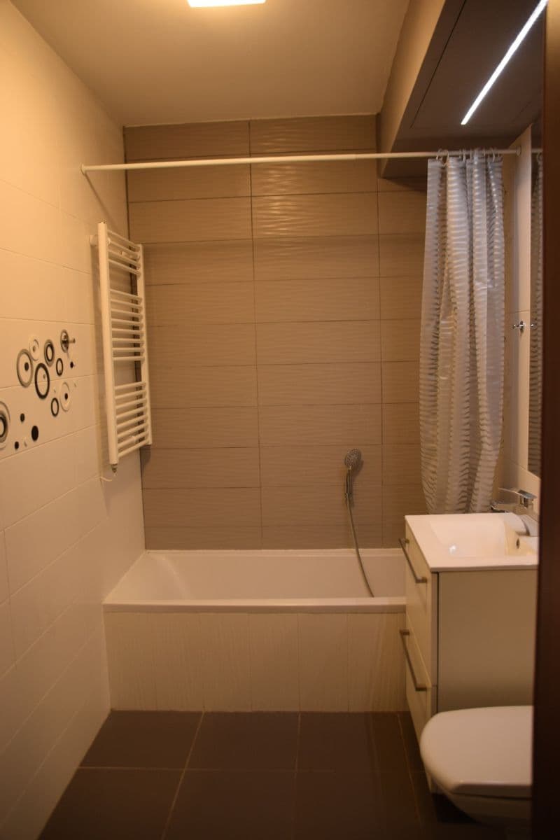 1 bedroom with open-plan kitchen flat to rent, 63 m², Cacovická, Brno, Jihomoravský Region 1 bedroom with open-plan kitchen flat to rent, 63 m², Cacovická, Brno, Jihomoravský Region