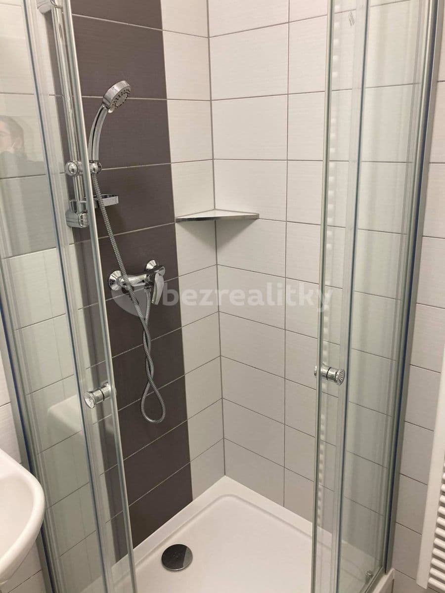 Studio flat to rent, 39 m², Karáskovo náměstí, Brno, Jihomoravský Region Studio flat to rent, 39 m², Karáskovo náměstí, Brno, Jihomoravský Region