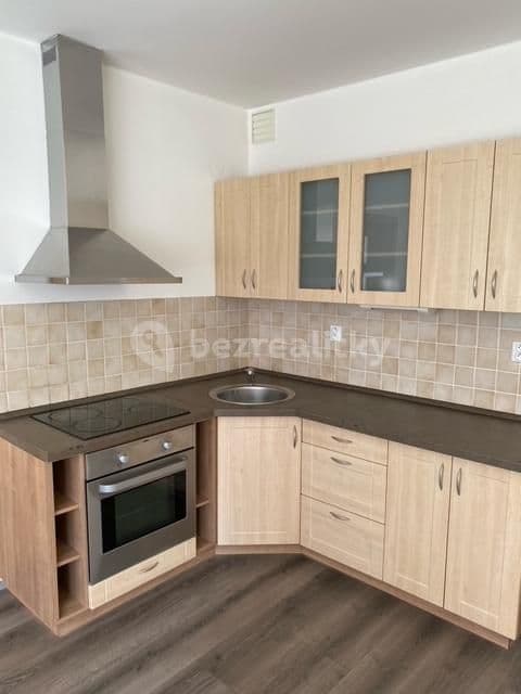 1 bedroom with open-plan kitchen flat to rent, 50 m², Pískařská, Prague, Prague 1 bedroom with open-plan kitchen flat to rent, 50 m², Pískařská, Prague, Prague