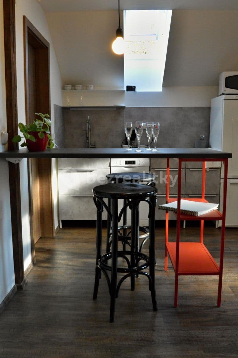1 bedroom with open-plan kitchen flat to rent, 35 m², K Vinoři, Prague, Prague 1 bedroom with open-plan kitchen flat to rent, 35 m², K Vinoři, Prague, Prague
