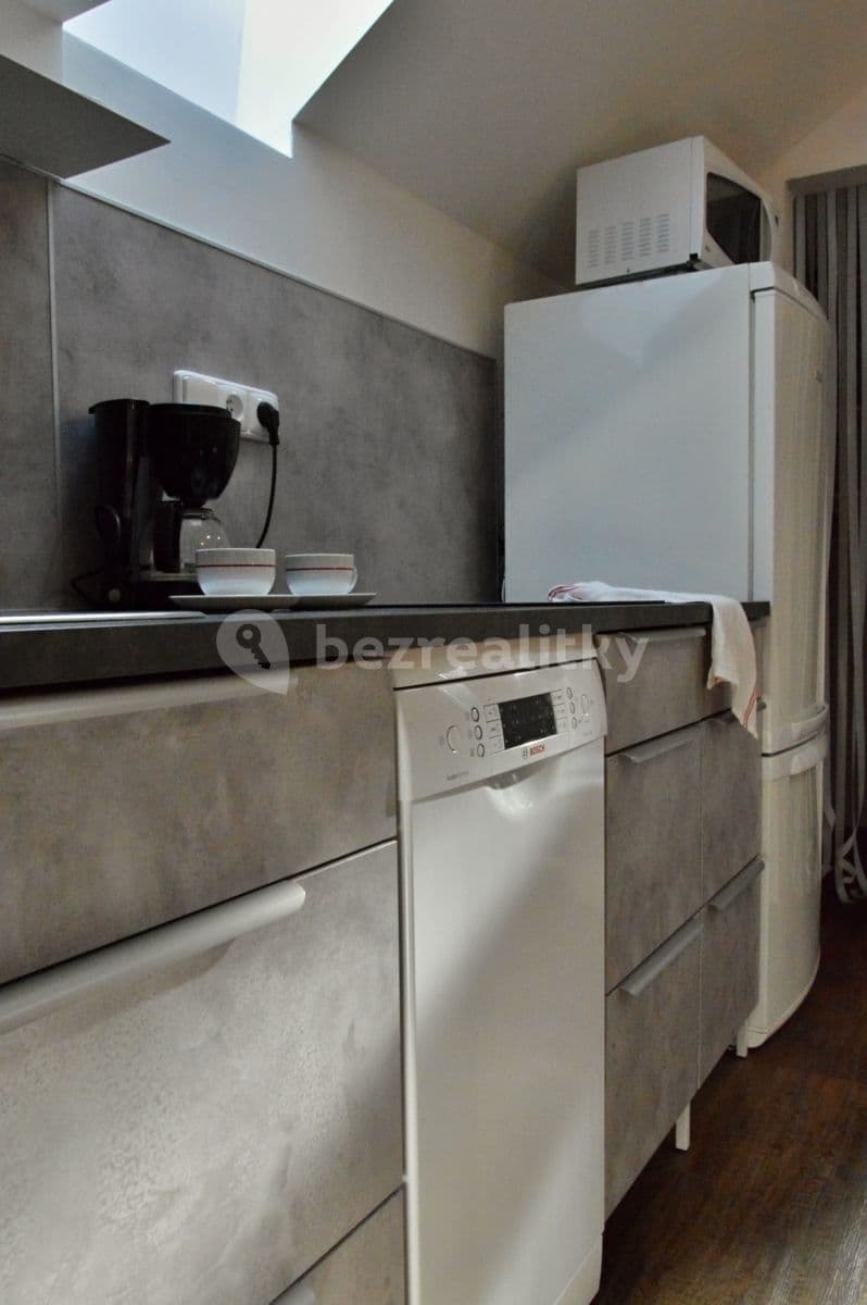 1 bedroom with open-plan kitchen flat to rent, 35 m², K Vinoři, Prague, Prague 1 bedroom with open-plan kitchen flat to rent, 35 m², K Vinoři, Prague, Prague
