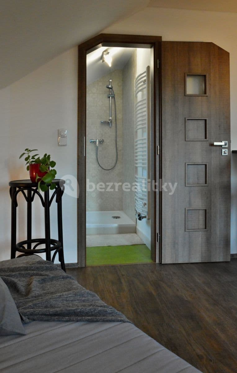 1 bedroom with open-plan kitchen flat to rent, 35 m², K Vinoři, Prague, Prague 1 bedroom with open-plan kitchen flat to rent, 35 m², K Vinoři, Prague, Prague