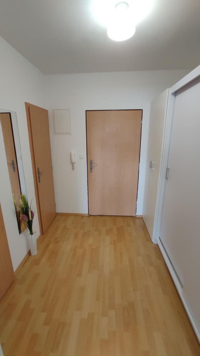 Studio flat to rent, 35 m², Vilová, Jirny, Středočeský Region Studio flat to rent, 35 m², Vilová, Jirny, Středočeský Region