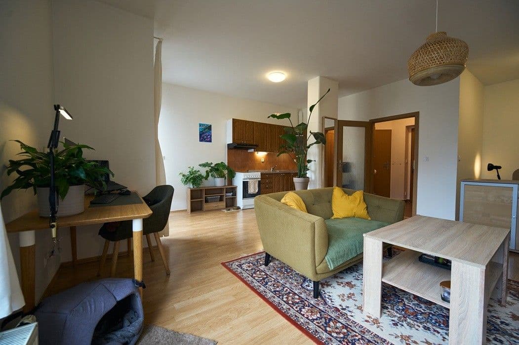 Studio flat to rent, 41 m², Lukášova, Prague, Prague Studio flat to rent, 41 m², Lukášova, Prague, Prague
