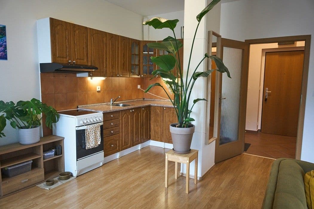 Studio flat to rent, 41 m², Lukášova, Prague, Prague Studio flat to rent, 41 m², Lukášova, Prague, Prague