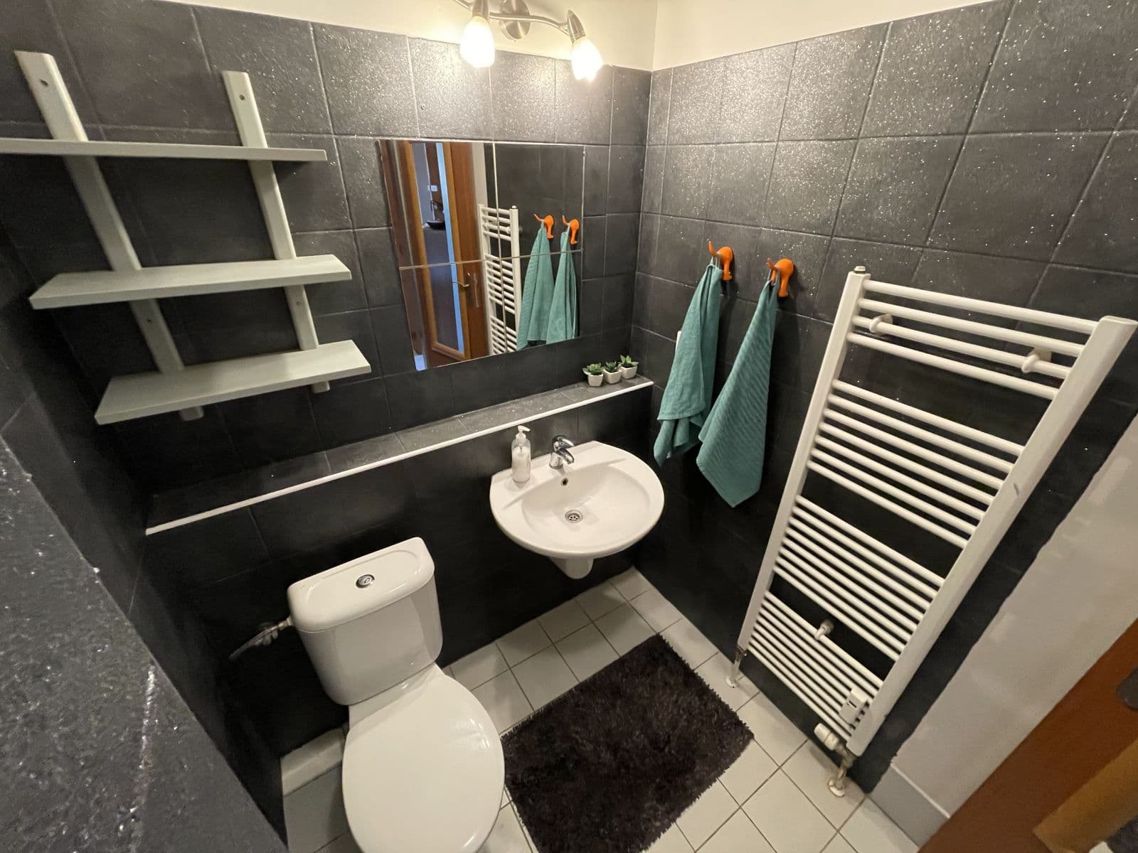 Studio flat to rent, 55 m², Na Kopečku, Prague, Prague Studio flat to rent, 55 m², Na Kopečku, Prague, Prague