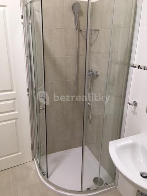 Small studio flat to rent, 32 m², V Olšinách, Prague, Prague Small studio flat to rent, 32 m², V Olšinách, Prague, Prague