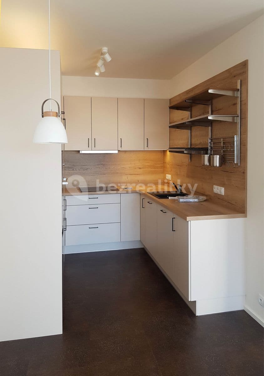 1 bedroom with open-plan kitchen flat to rent, 57 m², Tovární, Čelákovice, Středočeský Region 1 bedroom with open-plan kitchen flat to rent, 57 m², Tovární, Čelákovice, Středočeský Region