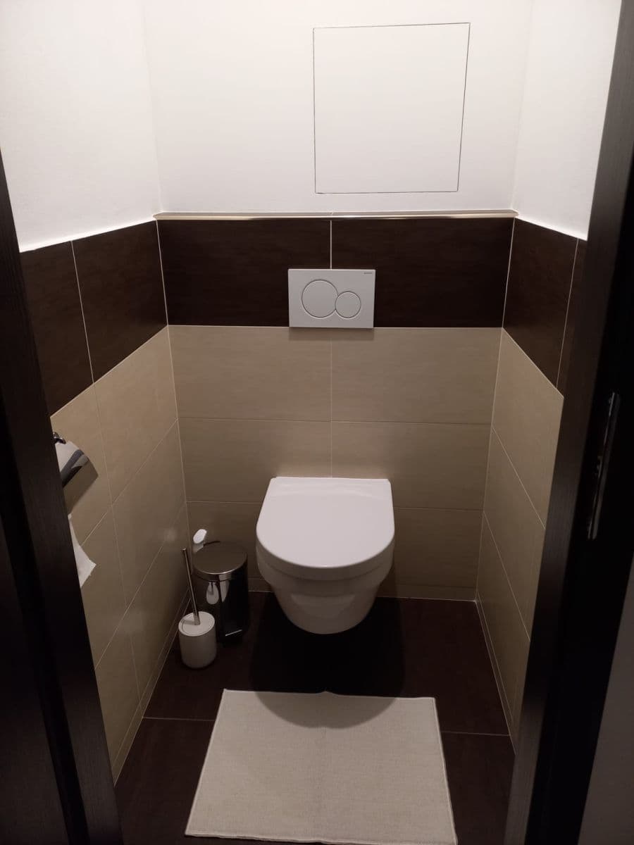 1 bedroom with open-plan kitchen flat to rent, 54 m², Nad Alejí, Prague, Prague 1 bedroom with open-plan kitchen flat to rent, 54 m², Nad Alejí, Prague, Prague