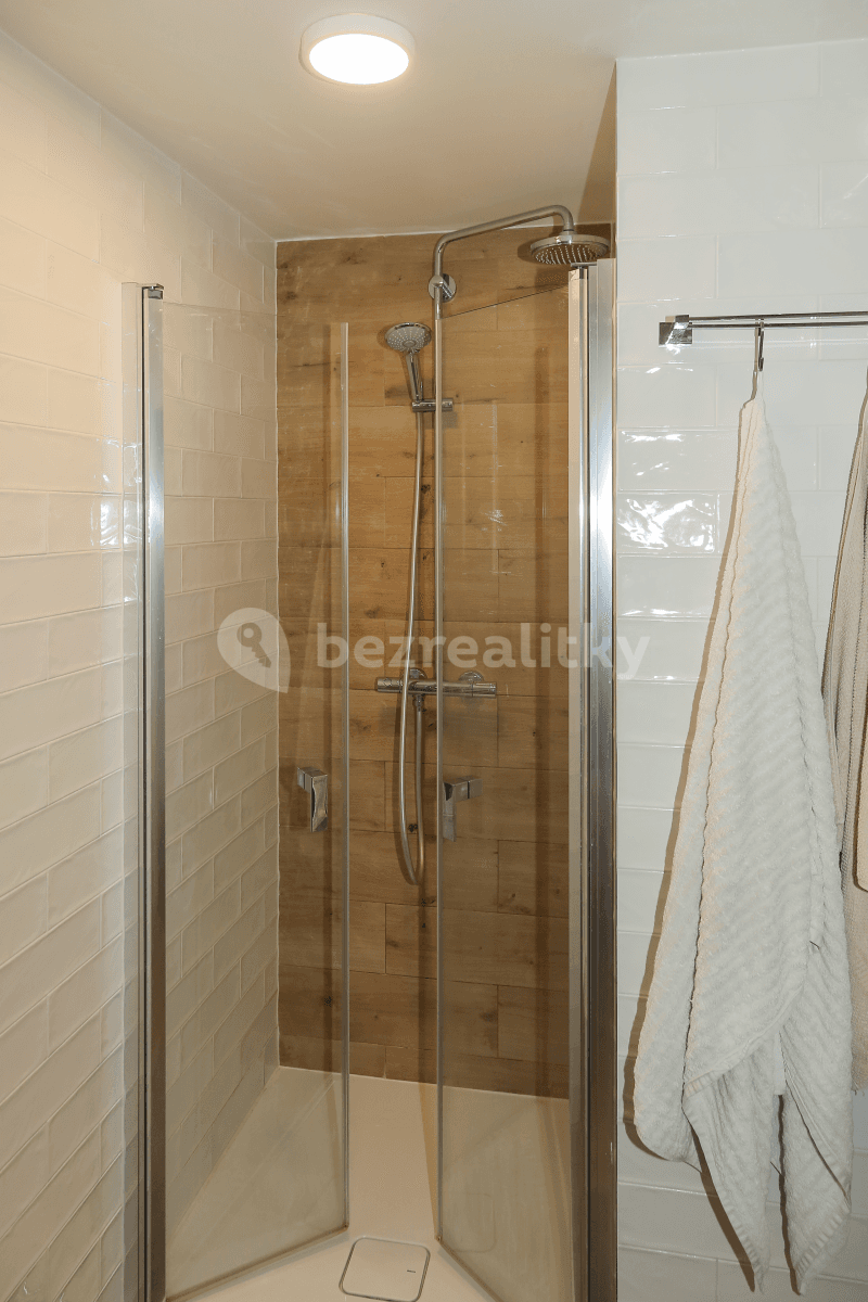 1 bedroom with open-plan kitchen flat to rent, 67 m², Plzeňská, Prague, Prague 1 bedroom with open-plan kitchen flat to rent, 67 m², Plzeňská, Prague, Prague