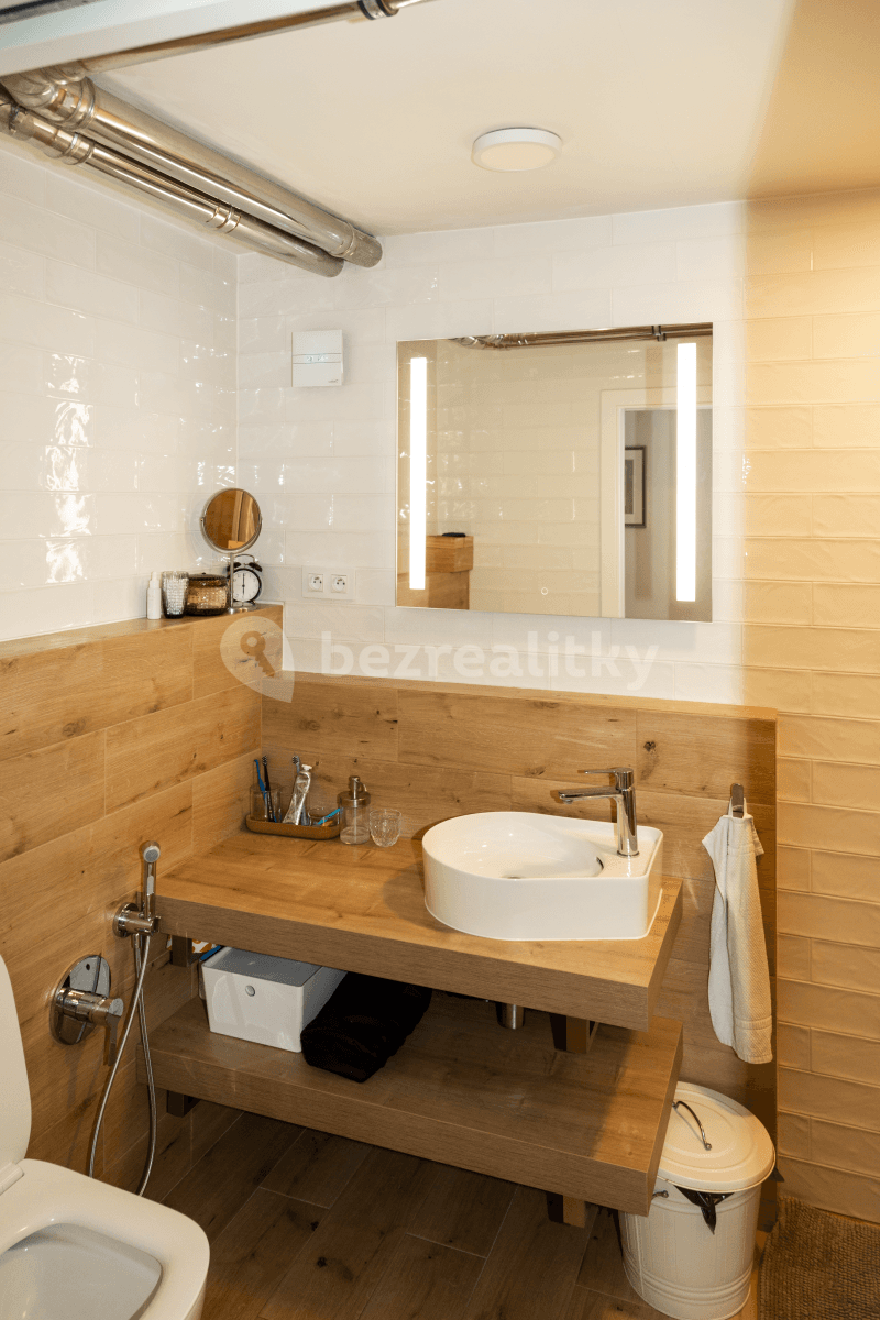 1 bedroom with open-plan kitchen flat to rent, 67 m², Plzeňská, Prague, Prague 1 bedroom with open-plan kitchen flat to rent, 67 m², Plzeňská, Prague, Prague