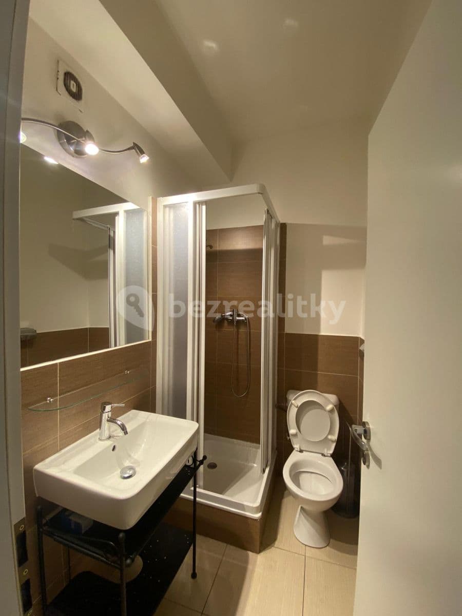 Studio flat to rent, 40 m², Táborská, Prague, Prague Studio flat to rent, 40 m², Táborská, Prague, Prague