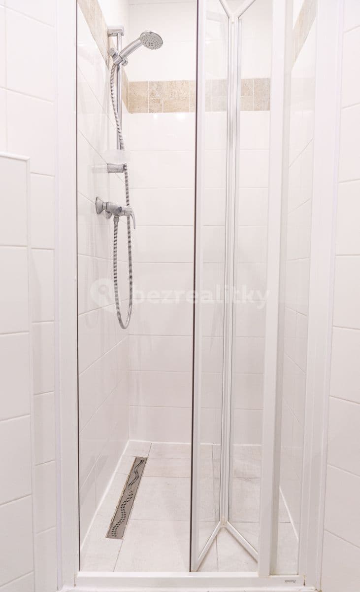 1 bedroom flat to rent, 30 m², Ruská, Prague, Prague 1 bedroom flat to rent, 30 m², Ruská, Prague, Prague