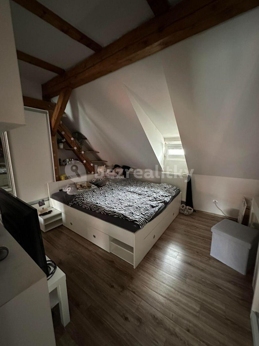 1 bedroom with open-plan kitchen flat to rent, 65 m², V Háji, Prague, Prague