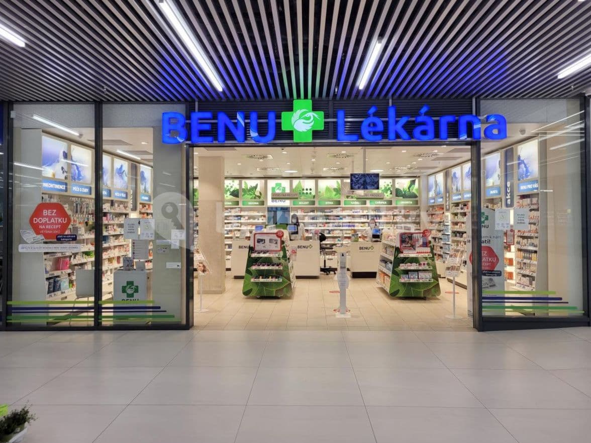 2 bedroom with open-plan kitchen flat to rent, 90 m², Mukařovského, Prague, Prague 2 bedroom with open-plan kitchen flat to rent, 90 m², Mukařovského, Prague, Prague