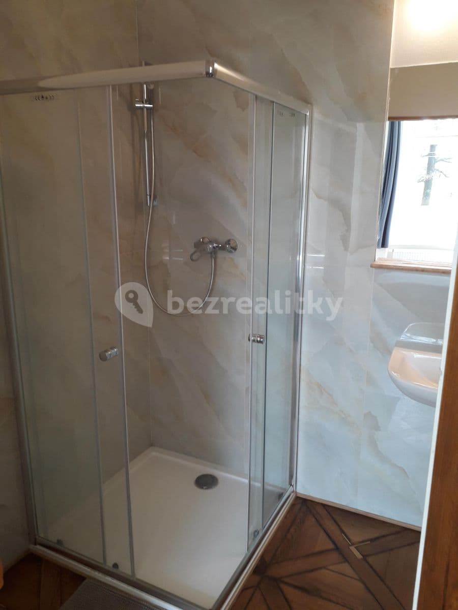 1 bedroom with open-plan kitchen flat to rent, 60 m², Bolzanova, Prague, Prague 1 bedroom with open-plan kitchen flat to rent, 60 m², Bolzanova, Prague, Prague