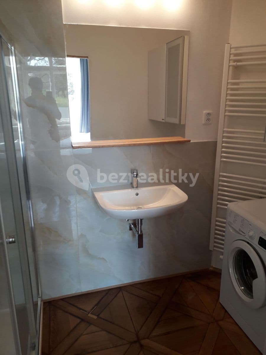 1 bedroom with open-plan kitchen flat to rent, 60 m², Bolzanova, Prague, Prague 1 bedroom with open-plan kitchen flat to rent, 60 m², Bolzanova, Prague, Prague