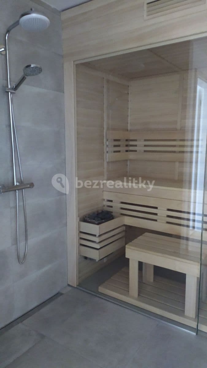 1 bedroom with open-plan kitchen flat to rent, 70 m², Mukařovského, Prague, Prague 1 bedroom with open-plan kitchen flat to rent, 70 m², Mukařovského, Prague, Prague