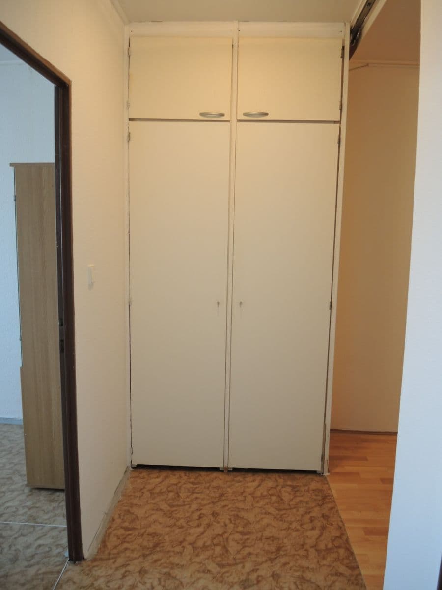 1 bedroom with open-plan kitchen flat to rent, 49 m², Hráského, Prague, Prague 1 bedroom with open-plan kitchen flat to rent, 49 m², Hráského, Prague, Prague