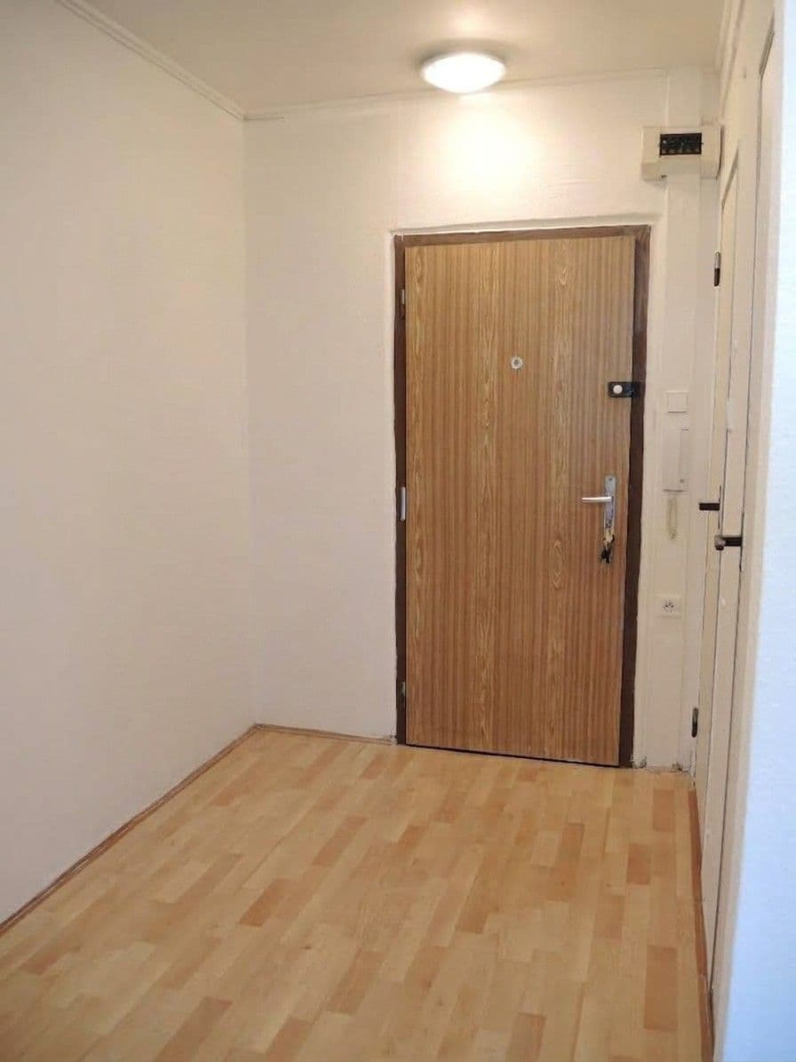 1 bedroom with open-plan kitchen flat to rent, 49 m², Hráského, Prague, Prague 1 bedroom with open-plan kitchen flat to rent, 49 m², Hráského, Prague, Prague
