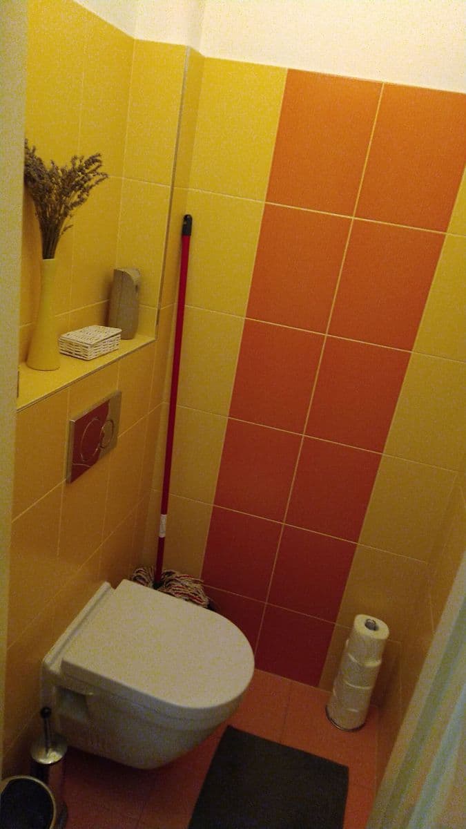 1 bedroom with open-plan kitchen flat to rent, 56 m², Hájkova, Prague, Prague 1 bedroom with open-plan kitchen flat to rent, 56 m², Hájkova, Prague, Prague