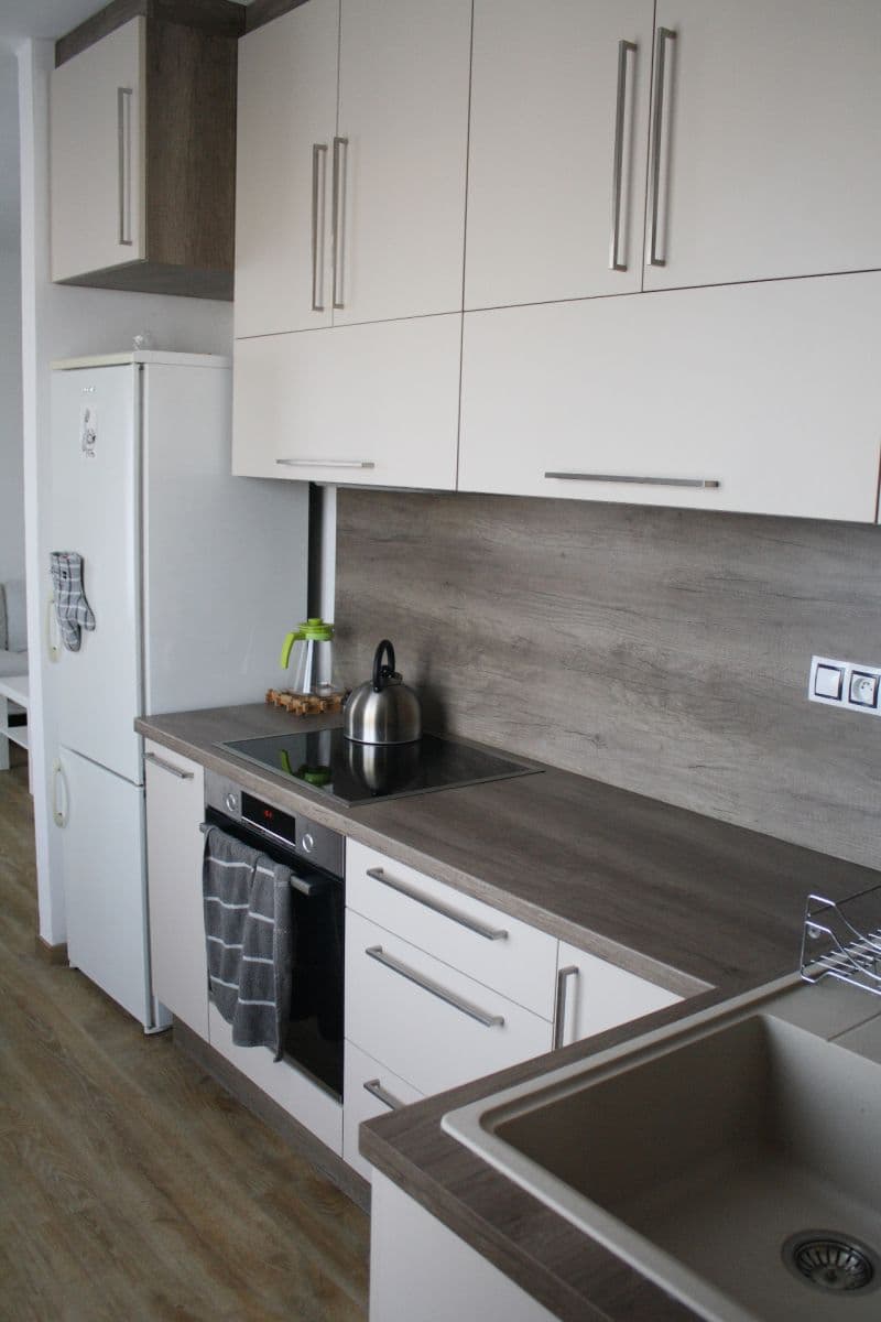 1 bedroom with open-plan kitchen flat to rent, 56 m², Brojova, Plzeň, Plzeňský Region 1 bedroom with open-plan kitchen flat to rent, 56 m², Brojova, Plzeň, Plzeňský Region