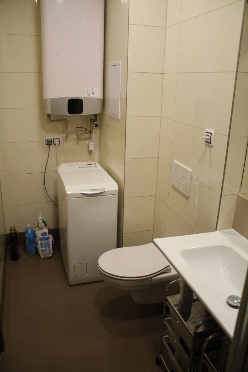 1 bedroom with open-plan kitchen flat to rent, 56 m², Brojova, Plzeň, Plzeňský Region 1 bedroom with open-plan kitchen flat to rent, 56 m², Brojova, Plzeň, Plzeňský Region