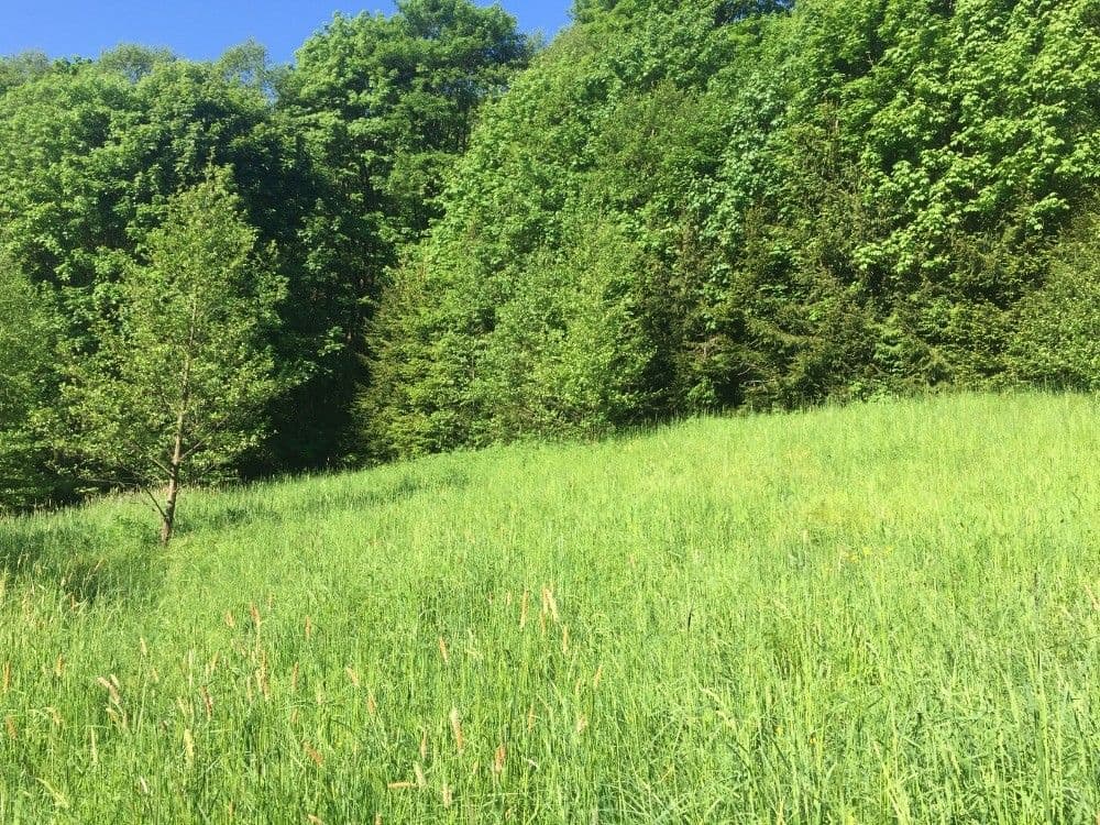 plot for sale, 3,100 m², Poniklá, Liberecký Region plot for sale, 3,100 m², Poniklá, Liberecký Region