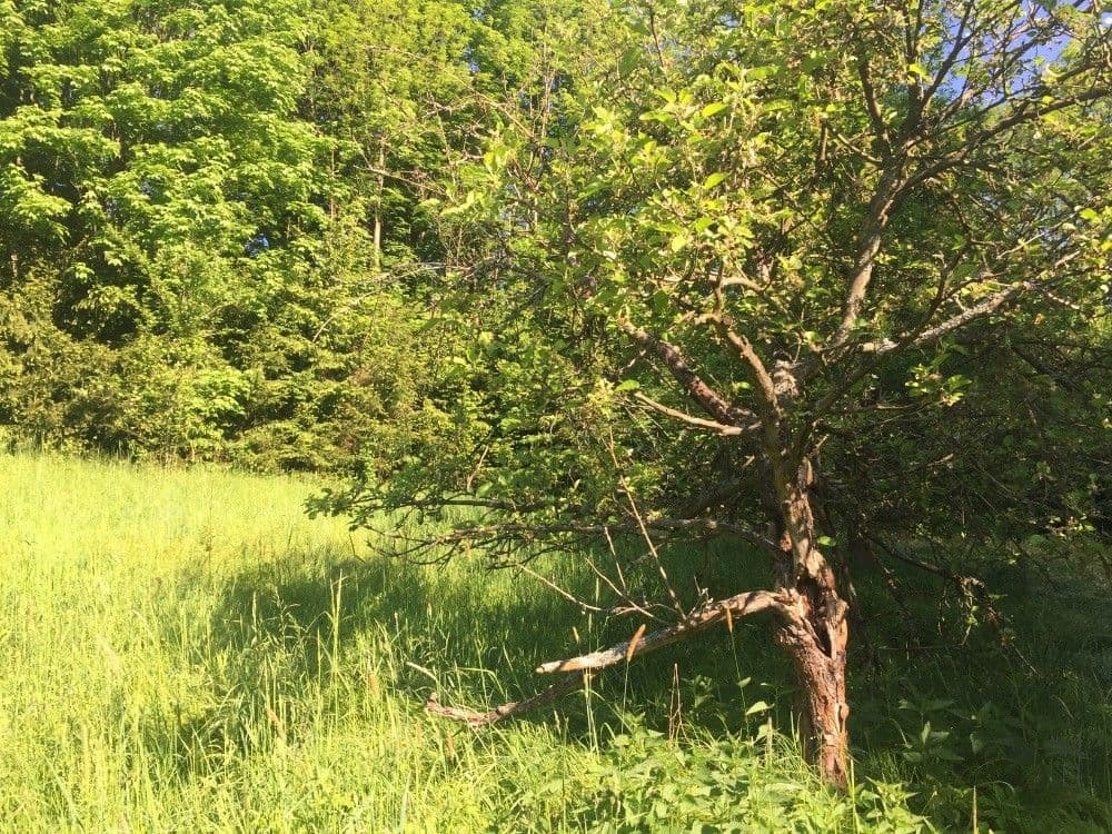 plot for sale, 3,100 m², Poniklá, Liberecký Region plot for sale, 3,100 m², Poniklá, Liberecký Region