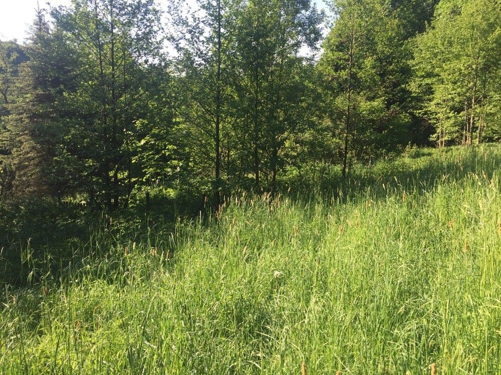 plot for sale, 3,100 m², Poniklá, Liberecký Region plot for sale, 3,100 m², Poniklá, Liberecký Region