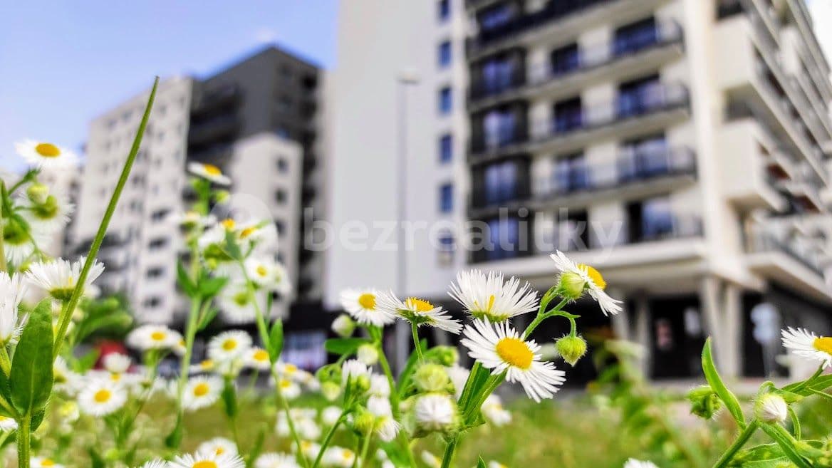 Studio flat to rent, 35 m², Zvěřinova, Prague, Prague Studio flat to rent, 35 m², Zvěřinova, Prague, Prague