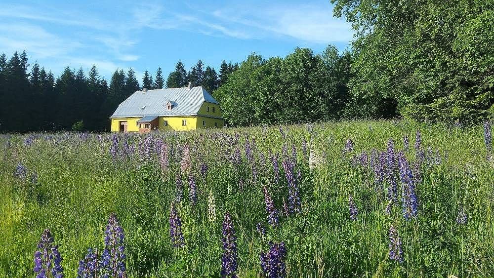 recreational property to rent, 0 m², Sedloňov, Královéhradecký Region recreational property to rent, 0 m², Sedloňov, Královéhradecký Region