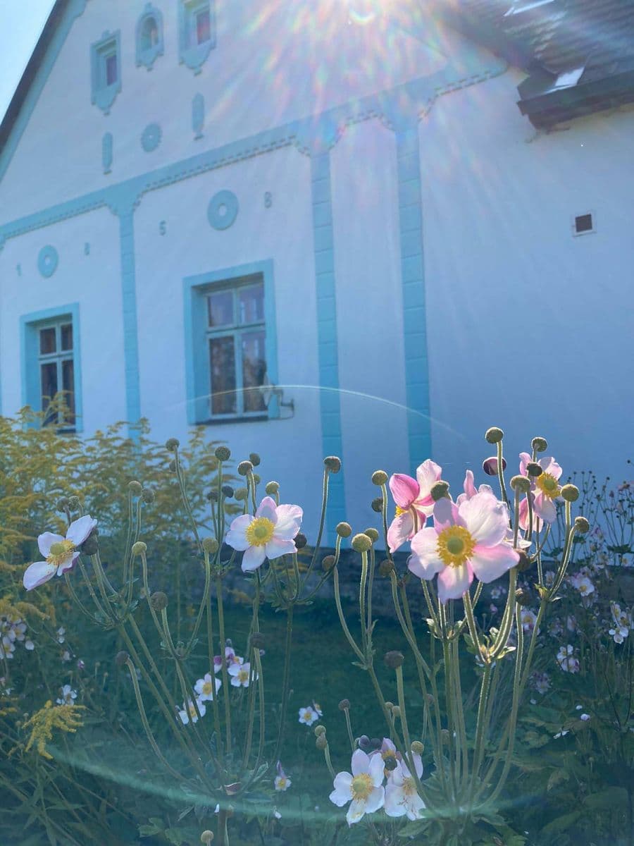 recreational property to rent, 0 m², Studená, Jihočeský Region recreational property to rent, 0 m², Studená, Jihočeský Region