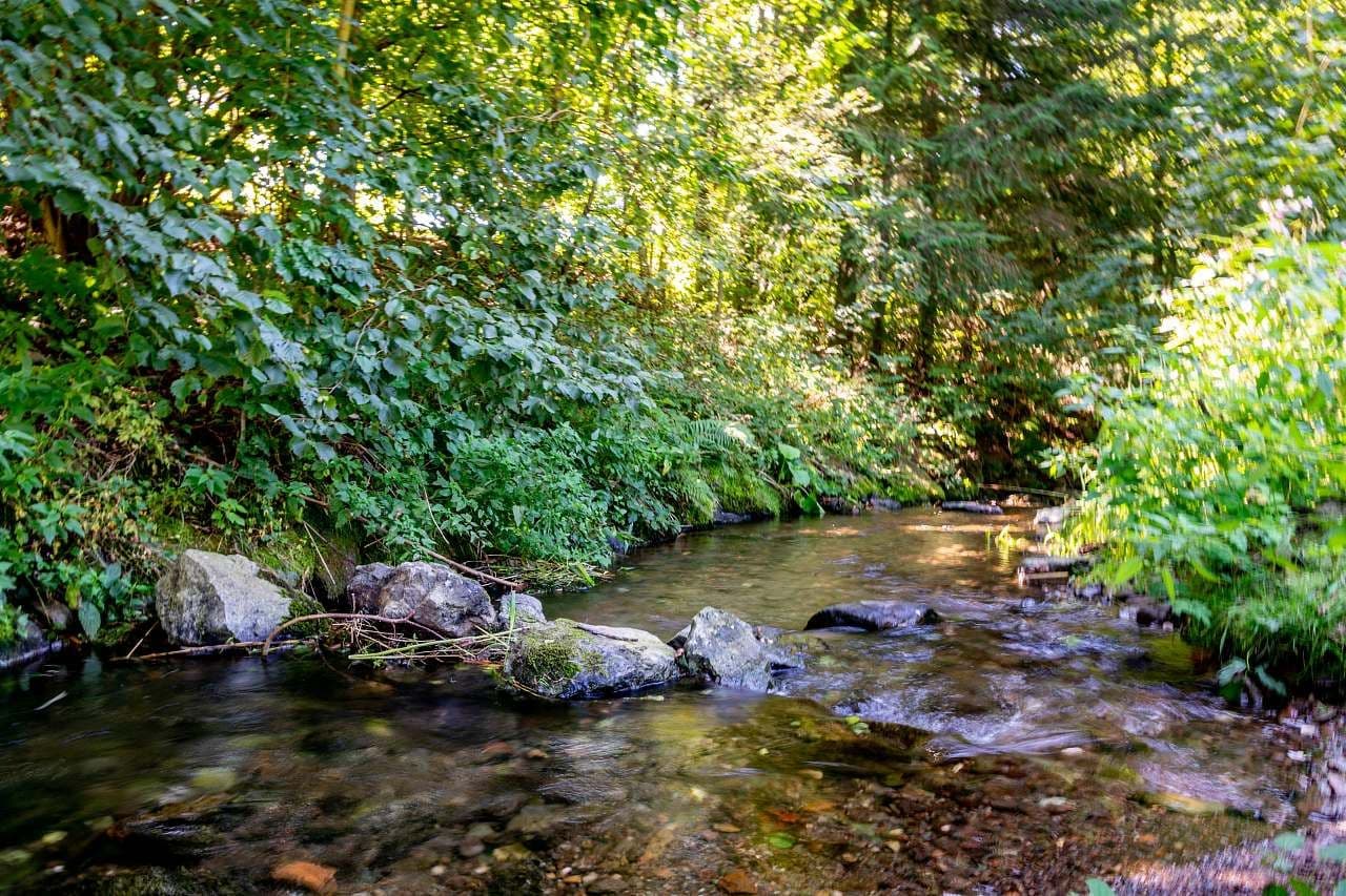 recreational property to rent, 0 m², Kounov, Královéhradecký Region recreational property to rent, 0 m², Kounov, Královéhradecký Region