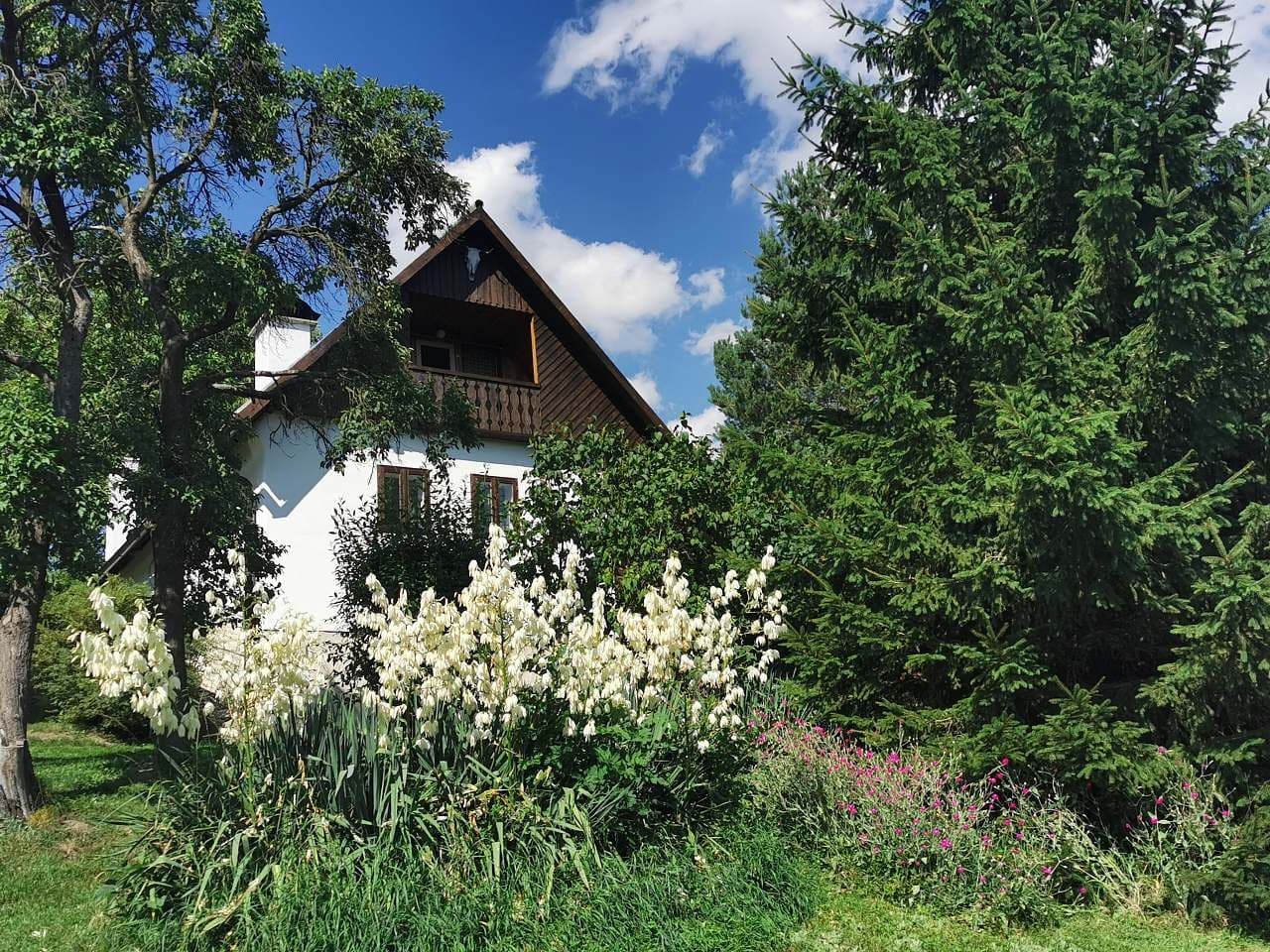 recreational property to rent, 0 m², Drevníky, Středočeský Region recreational property to rent, 0 m², Drevníky, Středočeský Region