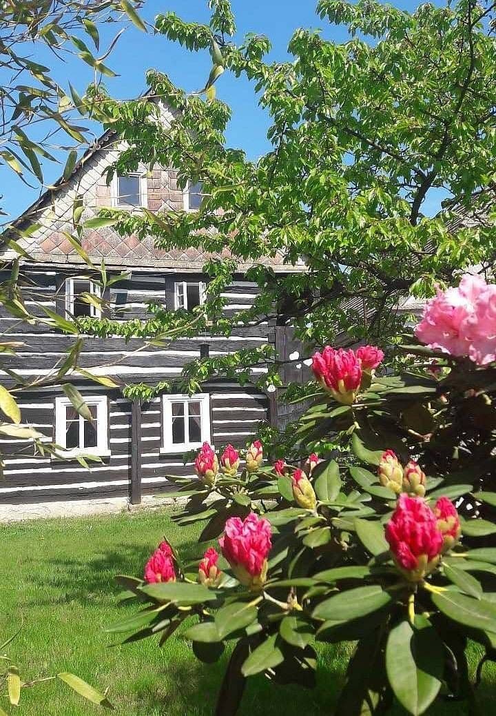 recreational property to rent, 0 m², Luka, Liberecký Region recreational property to rent, 0 m², Luka, Liberecký Region